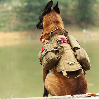 Tactical Dog Harness with Molle System