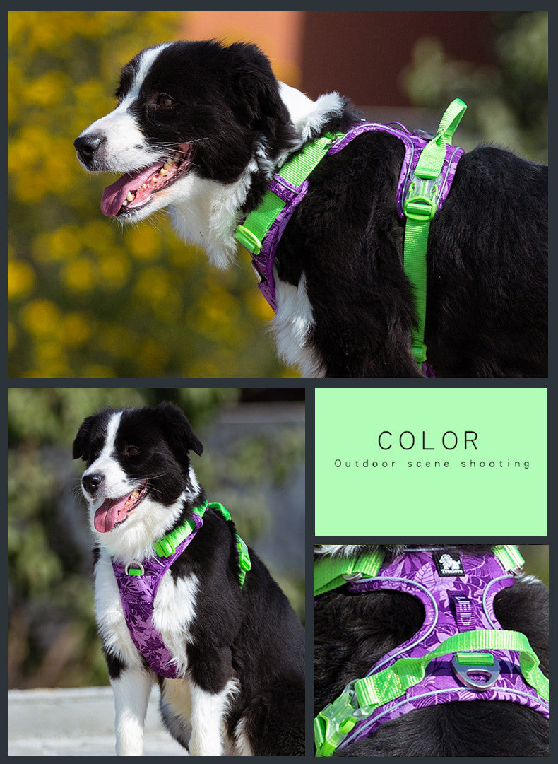 Durable Dog Leash with Vest Straps