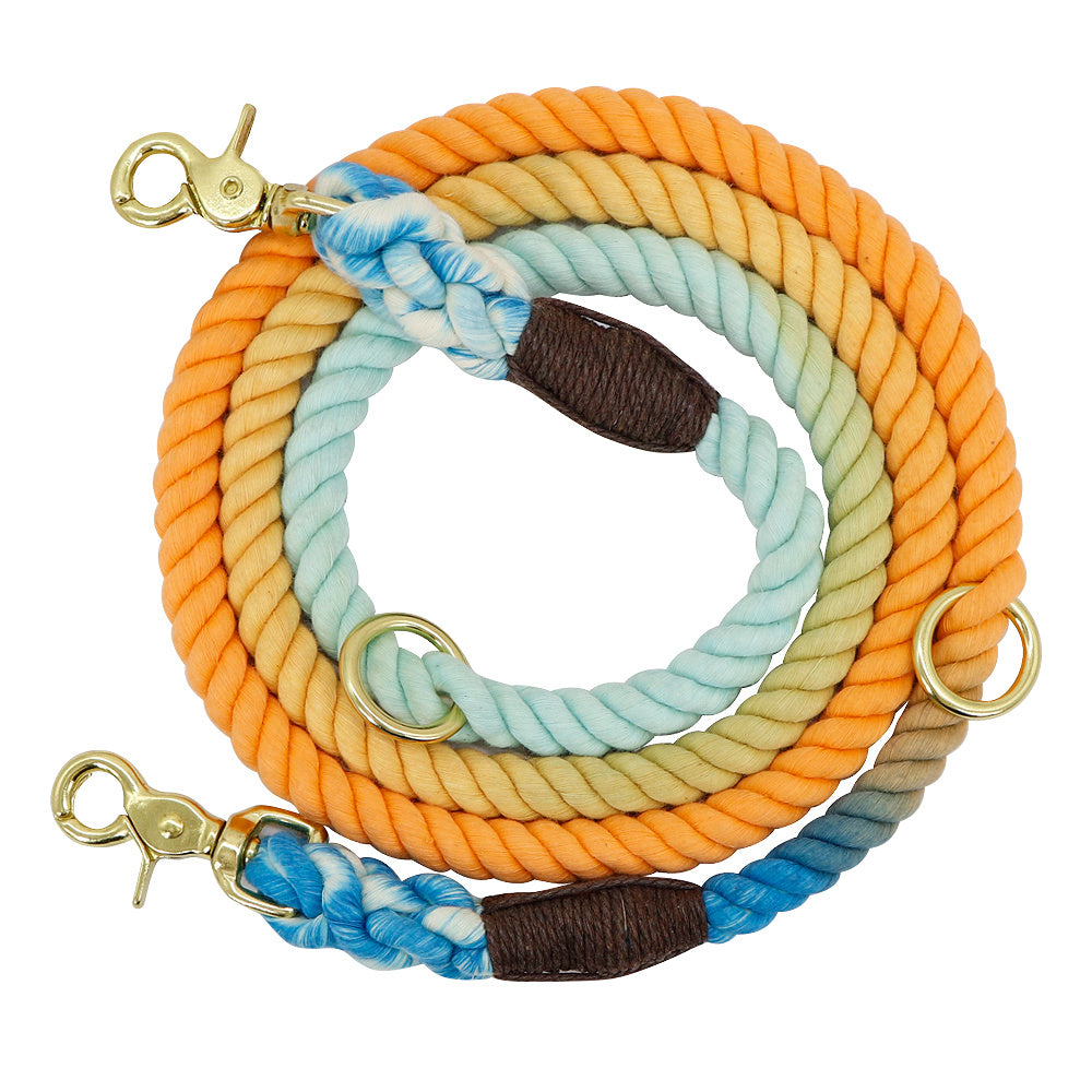 Gradient Color Dog Collar & Leash Set