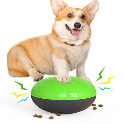 Interactive Pet Slow Feeder Toy