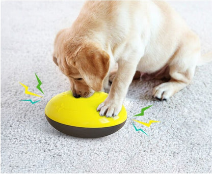 Interactive Pet Slow Feeder Toy