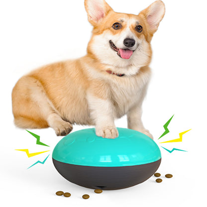 Interactive Pet Slow Feeder Toy