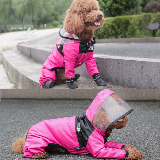 Transparent Rain Jacket