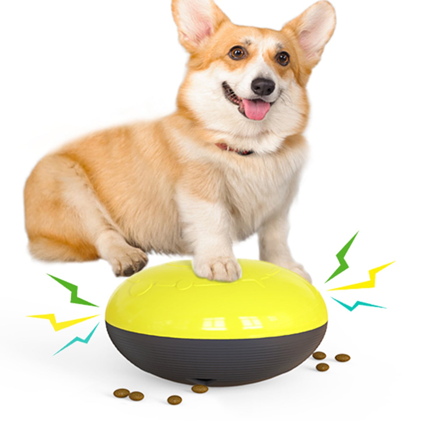 Interactive Pet Slow Feeder Toy