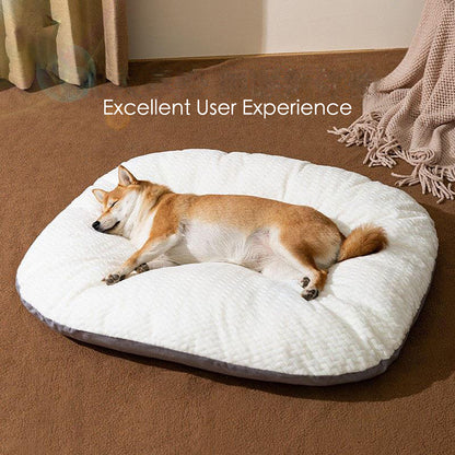 Oval Cushion Dog Bed for Large Dogs