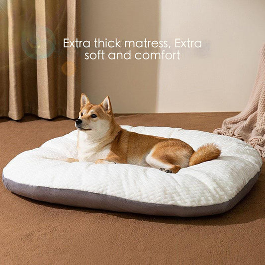 Oval Cushion Dog Bed for Large Dogs