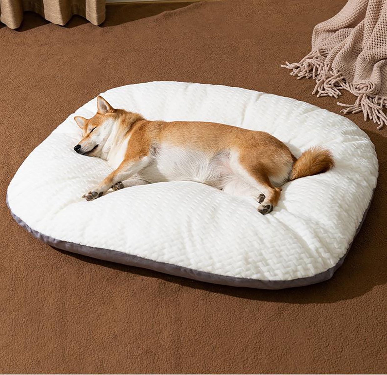 Oval Cushion Dog Bed for Large Dogs