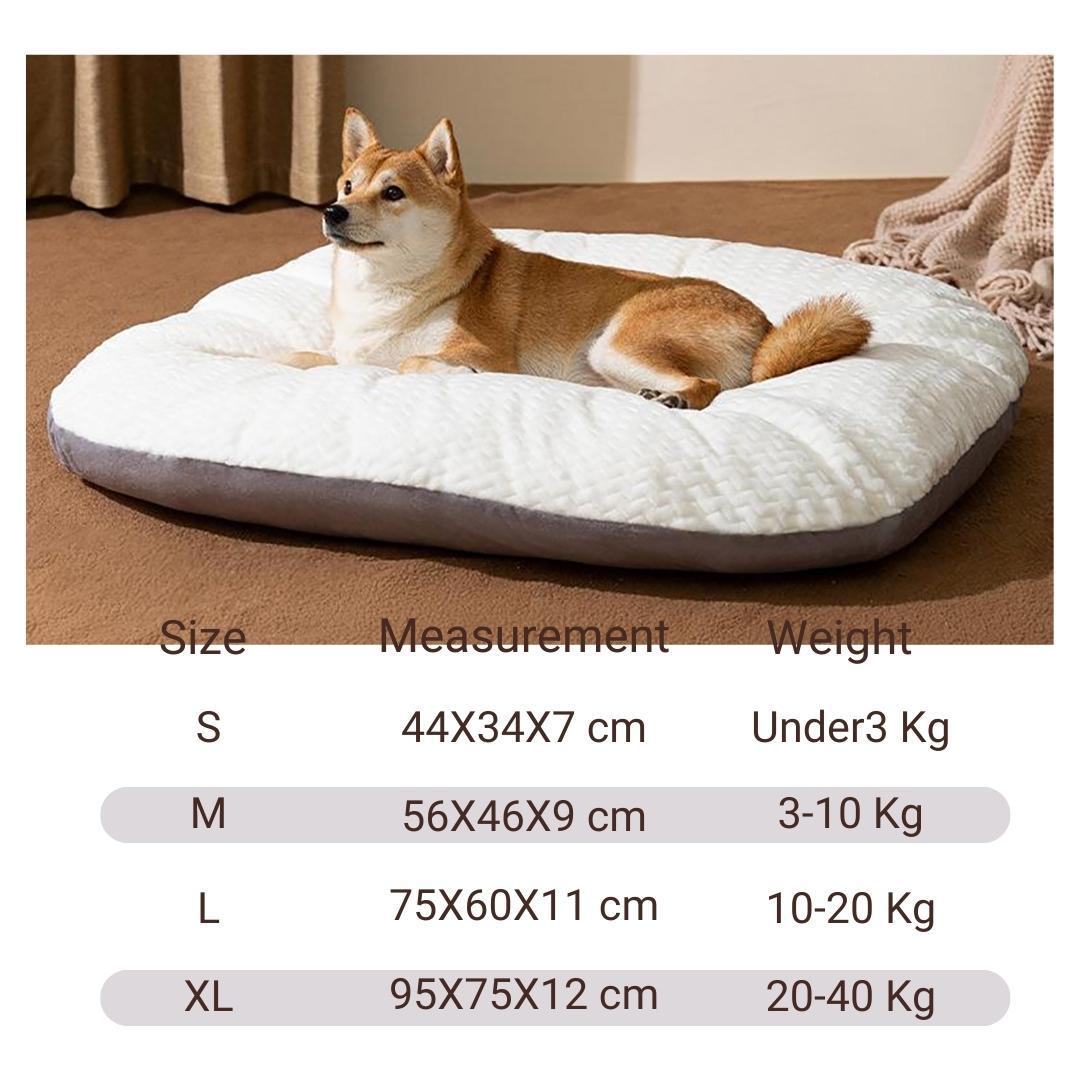 Oval Cushion Dog Bed for Large Dogs