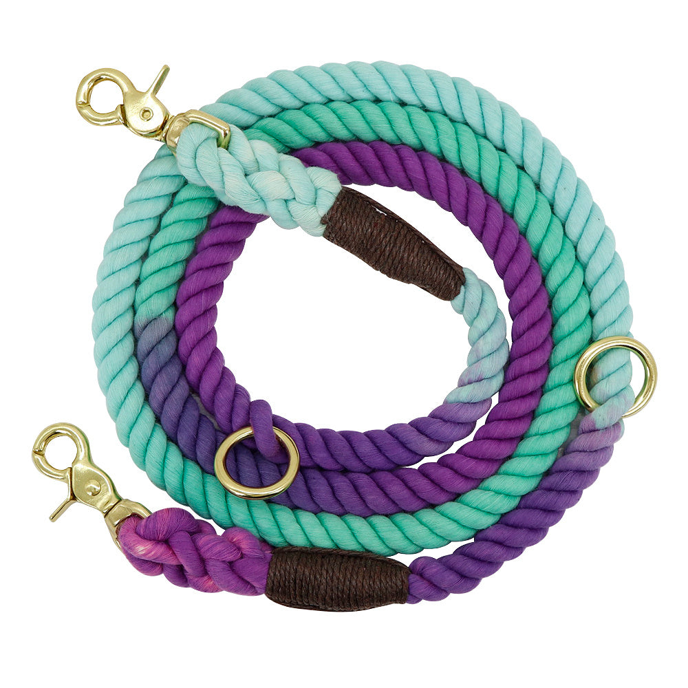 Gradient Color Dog Collar & Leash Set