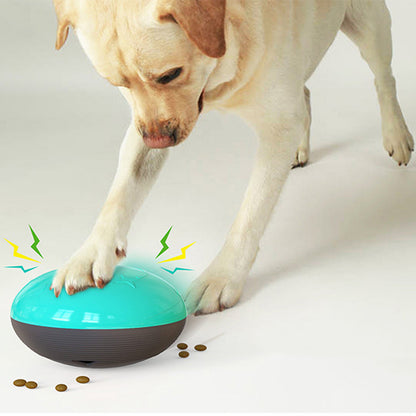 Interactive Pet Slow Feeder Toy