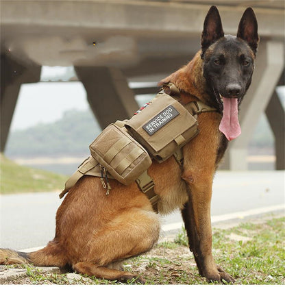 Tactical Dog Harness with Molle System